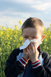 allergy allergy