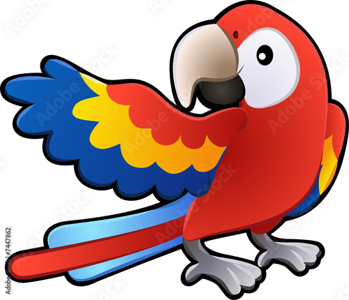 Macaw+parrot+pictures