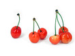 Cherries isolated on white