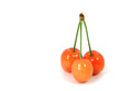 Three sweet cherries isolated