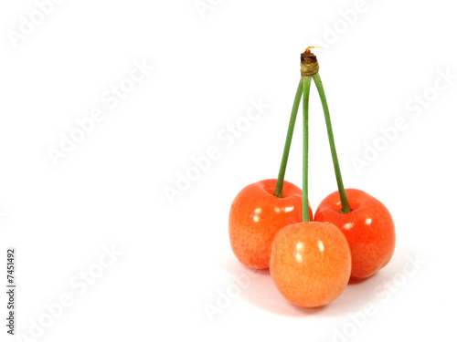 Photo: Three sweet cherries isolated Three sweet cherries isolated