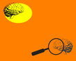 Vector: Brain and magnifying glass Brain and magnifying glass