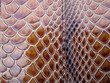 Lizard skin background man made very fashionable