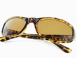 Brown sunglasses