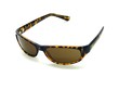 Sunglasses on white background