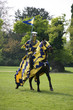 Knight jousting