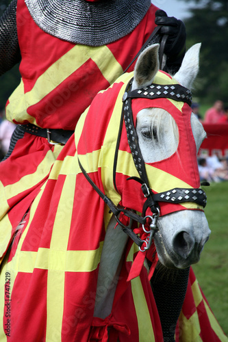 Photo: Knights horse Knights horse