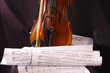 Fragment of violin