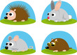 little animals