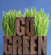 go green with grass on blue go green with grass on blue