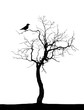 Dead tree Dead tree