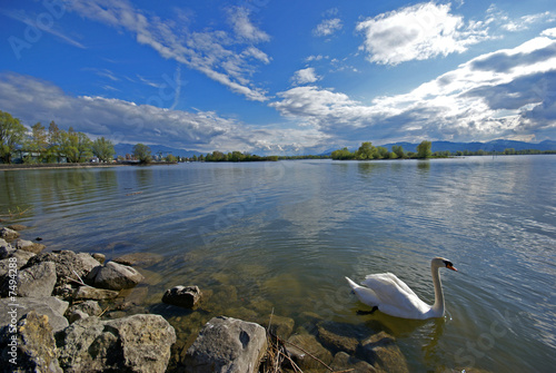 Foto: Frühlingstag am Bodensee Frühlingstag am Bodensee