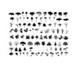 Trees (vector) Trees (vector)