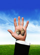Shells in hand