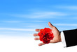red Flower in hand