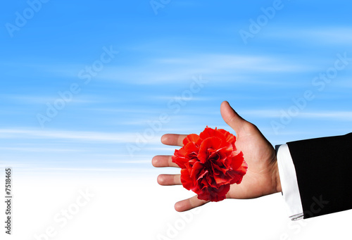red Flower in hand