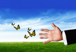 Butterflies and hand