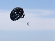 Photo: Man Parasailing with Black Parachute Man Parasailing with Black Parachute