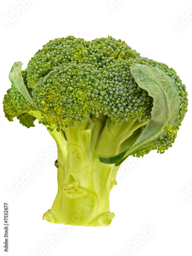 Photo: Broccoli Broccoli