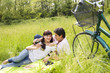 meadow