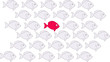 sortir du lot poisson