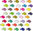 groupe de poissons colorés groupe de poissons colorés