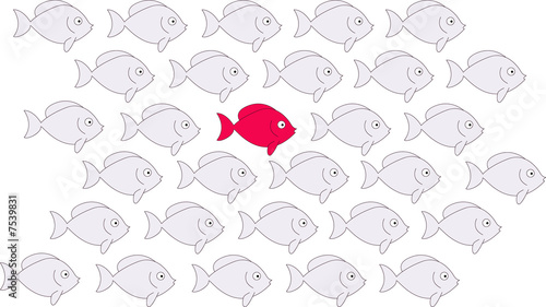 sortir du lot poisson sortir du lot poisson