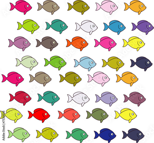 groupe de poissons colorés