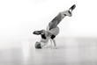 .the dancer! .the dancer!