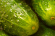 cucumber