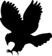 Adler