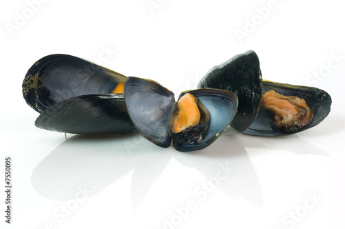 Cozze