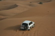 Desert Safari