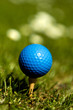 Blue golf ball on wooden tee Focus on ball Portrait orientation.