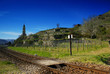 Scenic Vineyards