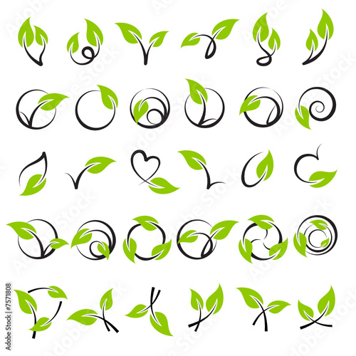 Leaves. Elements for design. Leaves. Elements for design.