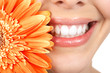 Woman teeth Woman teeth
