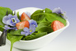 Edible Flowers