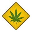 schild cannabis