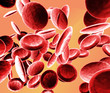 Blut 