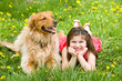 Little Girl Laying Down With Dog Little Girl Laying Down With Dog