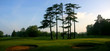 Parcours de golf la matin