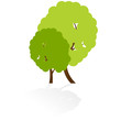 Tree icon