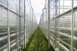 Greenhouses