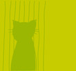 Chat illustré Chat illustré