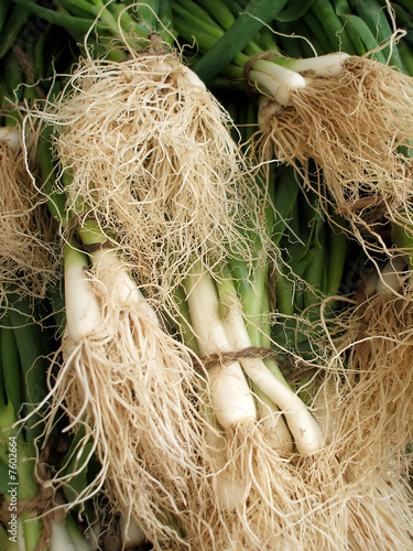 Photo: Fresh Organic Shallots for Sale at Produce Market Fresh Organic Shallots for Sale at Produce Market