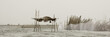 Stilt hut