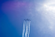 The Snowbirds Demonstration Team