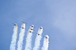 The Snowbirds Demonstration Team