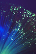 Fiber Optic Light Wand